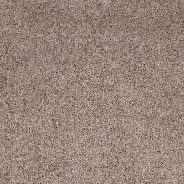 8' x 10'  Polyester Beige Area Rug