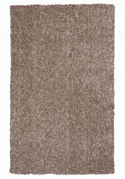 2'x4' Beige Heather Indoor Shag Rug