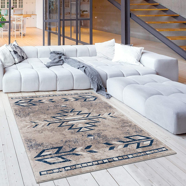 4 x 6 Beige and Blue Boho Chic Area Rug