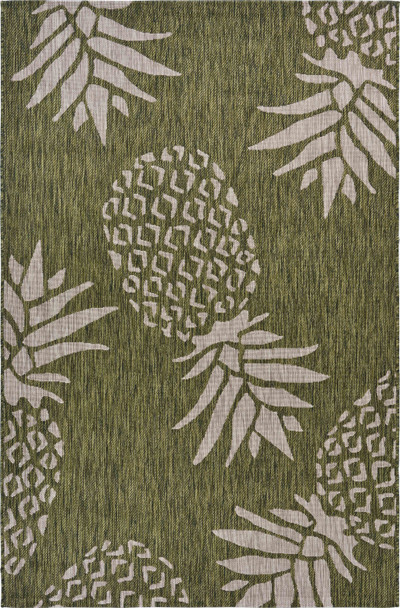 5 x 7 Green Pineapple Indoor Outdoor Area Rug