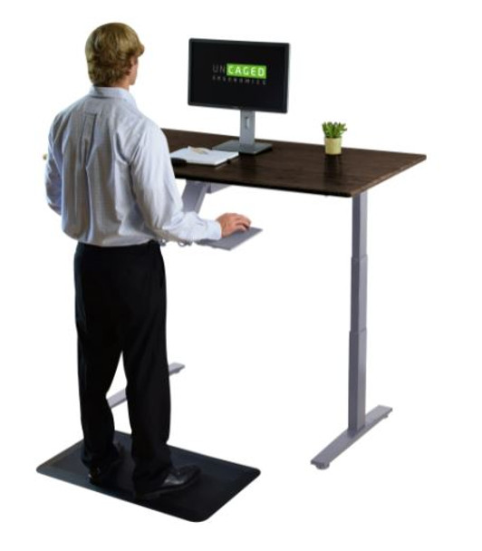 Premier 52" Silver Dual Motor Electric Office Adjustable Standing Desk