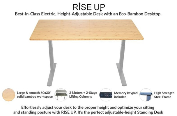 Gray and Natural Bamboo 45" Dual Motor Electric Office Adjustable Computer Desk