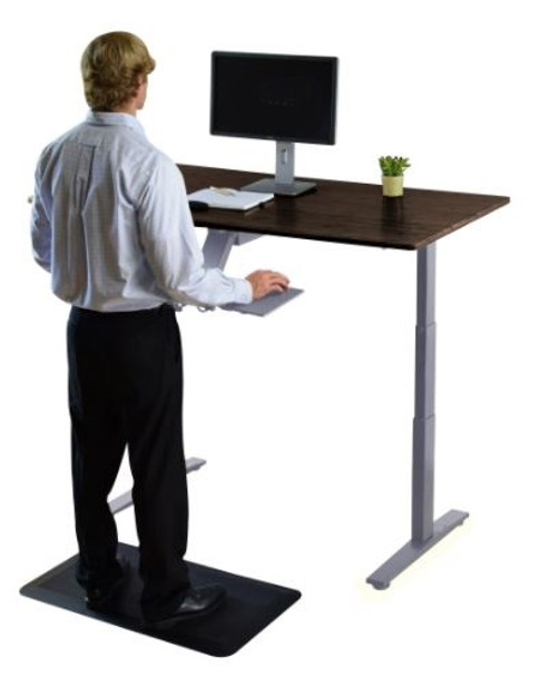 Gray and Black 52" Bamboo Dual Motor Electric Office Adjustable Computer Desk