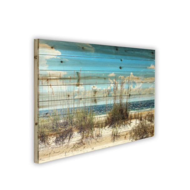 48" Ocean Sand Dunes Wood Plank Wall Art