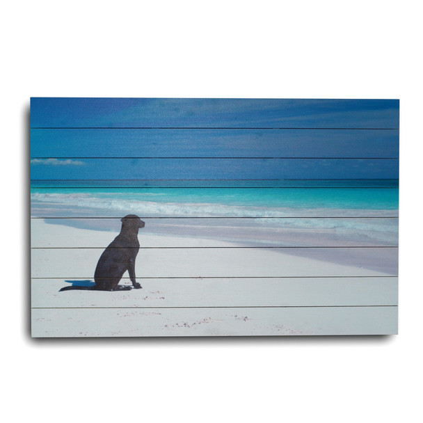 36" Energetic Dog at the Beach Wood Plank Wall Art