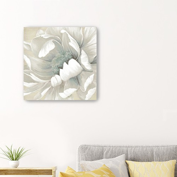 20" Soft Winter Flower in Bloom Canvas Wall Art