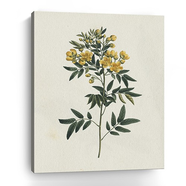 20" Singular Yellow Blossom Branch Canvas Wall Art