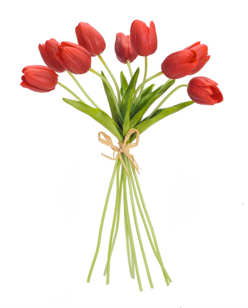 Tulip Bundle (Set of 6) 15"H - 70668