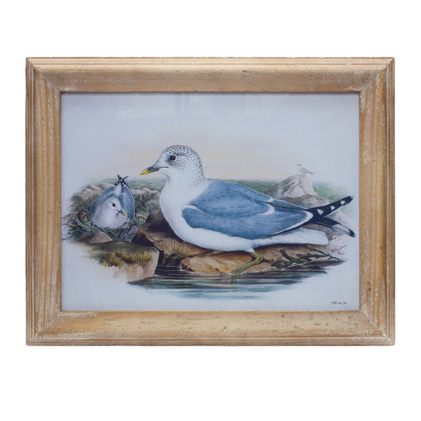 Framed Bird Print 16.5"L x 13"H Wood/Glass - 85385