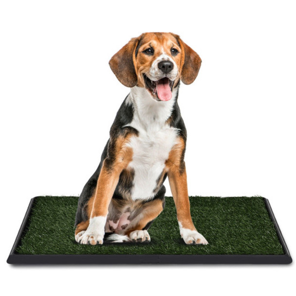 30" x 20" Pet Potty Training Toilet Grass Mat