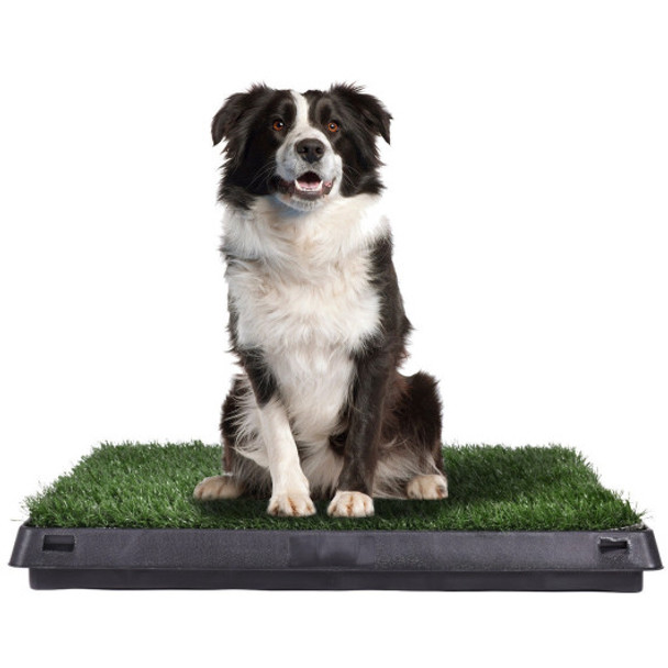 25" x 20" Puppy Potty Training Toilet Turf Mat