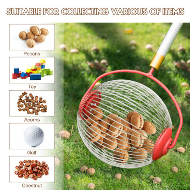 Medium Rolling Nut Gatherer for Balls Nuts and Other Objects