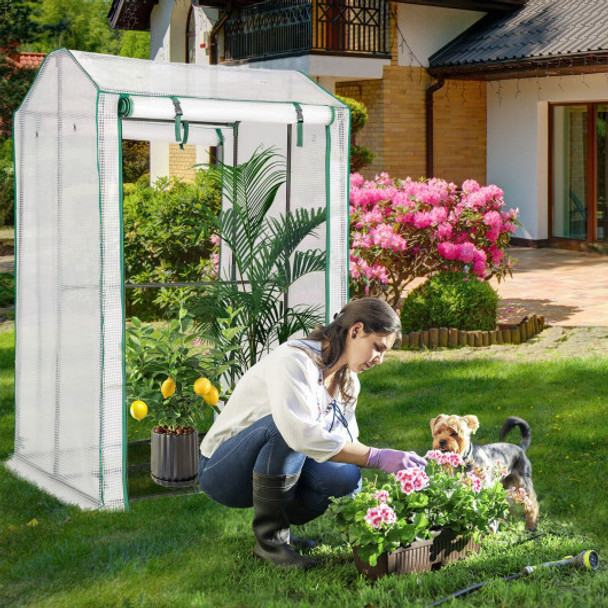 Walk-in Garden Greenhouse Warm House for Plant Growing