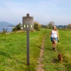 Trail Proven™ Mini Dog Waste Station - made from recycled plastics