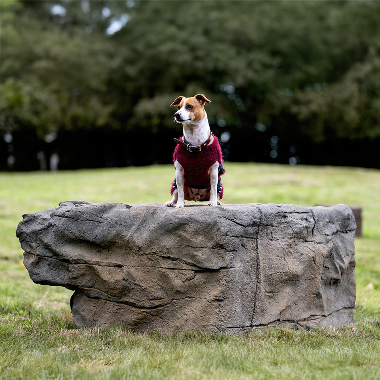 NatureDog™ Large Boulder
