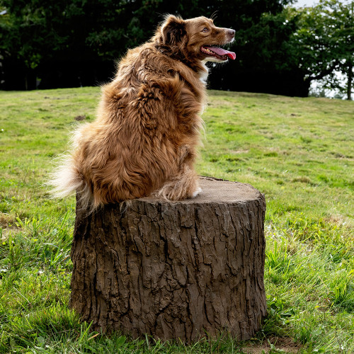 NatureDog™ Big Stump Jump