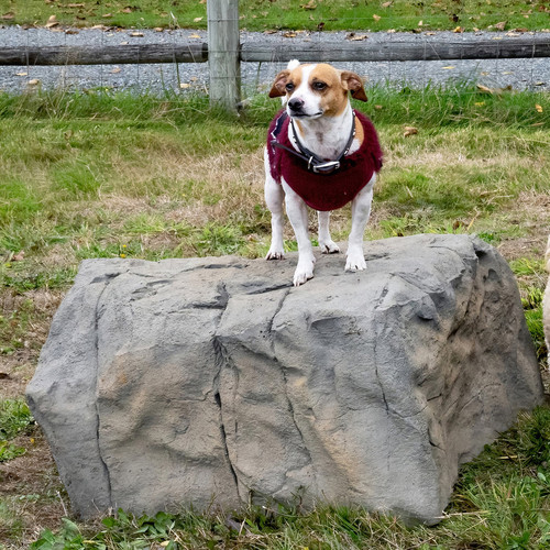 NatureDog™ Small Boulder