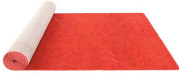 Carpet with Padding ($4.50 per Square Foot)