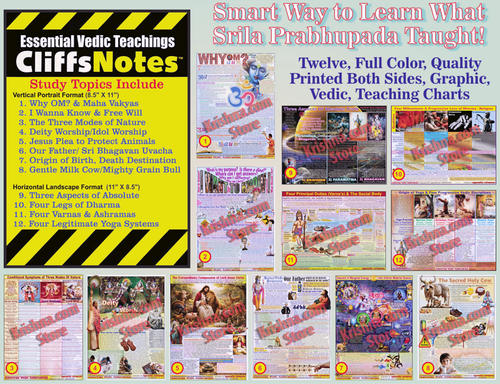 Krishna Consciousness Teaching Charts: Set of 12