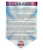Vinyl Festival Flag, Rathayatra Set of 3
