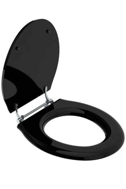 Lefroy Brooks Lissa Doon Matt Black Lavatory Seat With Bar Hinge