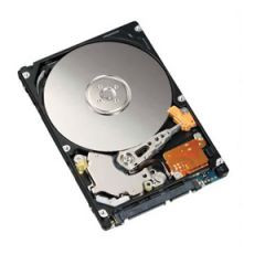 T369G | DELL | 250GB 5400RPM SATA 3GB/S HOT-SWAPPABLE PLUG-IN MODULE 8MB CACHE 2.5-INCH HARD DRIVE