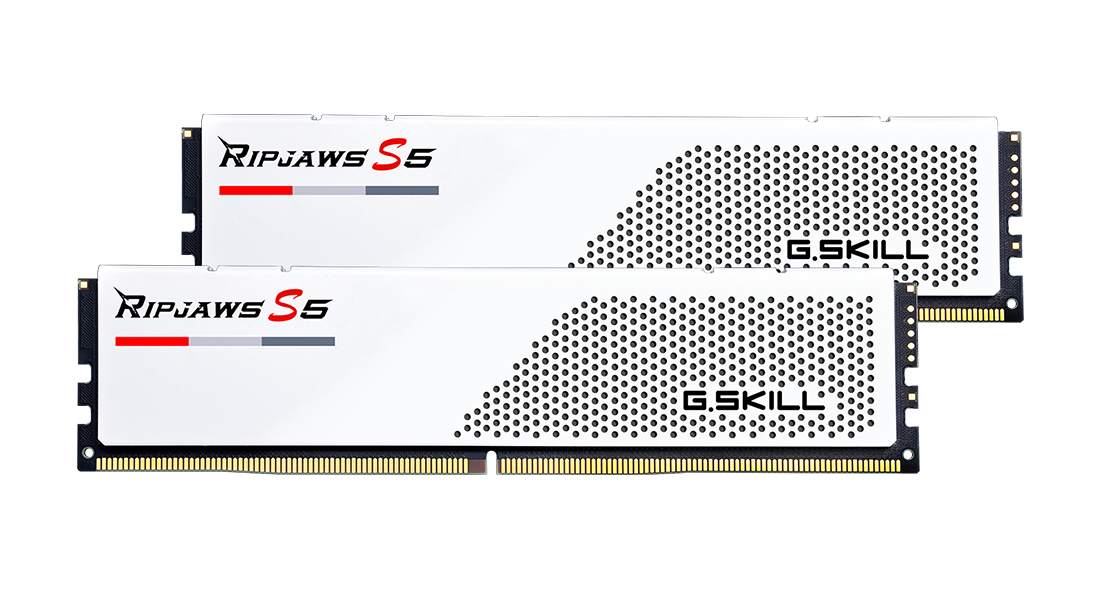 F5-5200J4040A48GX2-RS5W | G.Skill | Ripjaws S5 DDR5 RAM 96GB 2x48GB