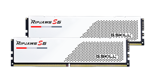 F5-5200J4040A48GX2-RS5W | G.Skill | Ripjaws S5 DDR5 RAM 96GB 2x48GB