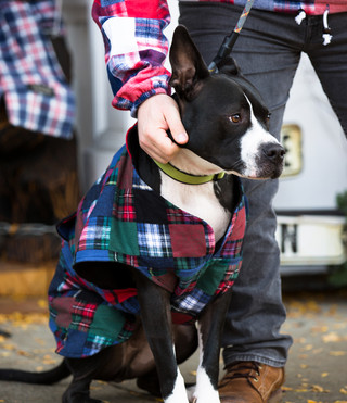 Flannel Dog Jacket - Patchwork U.S.A.