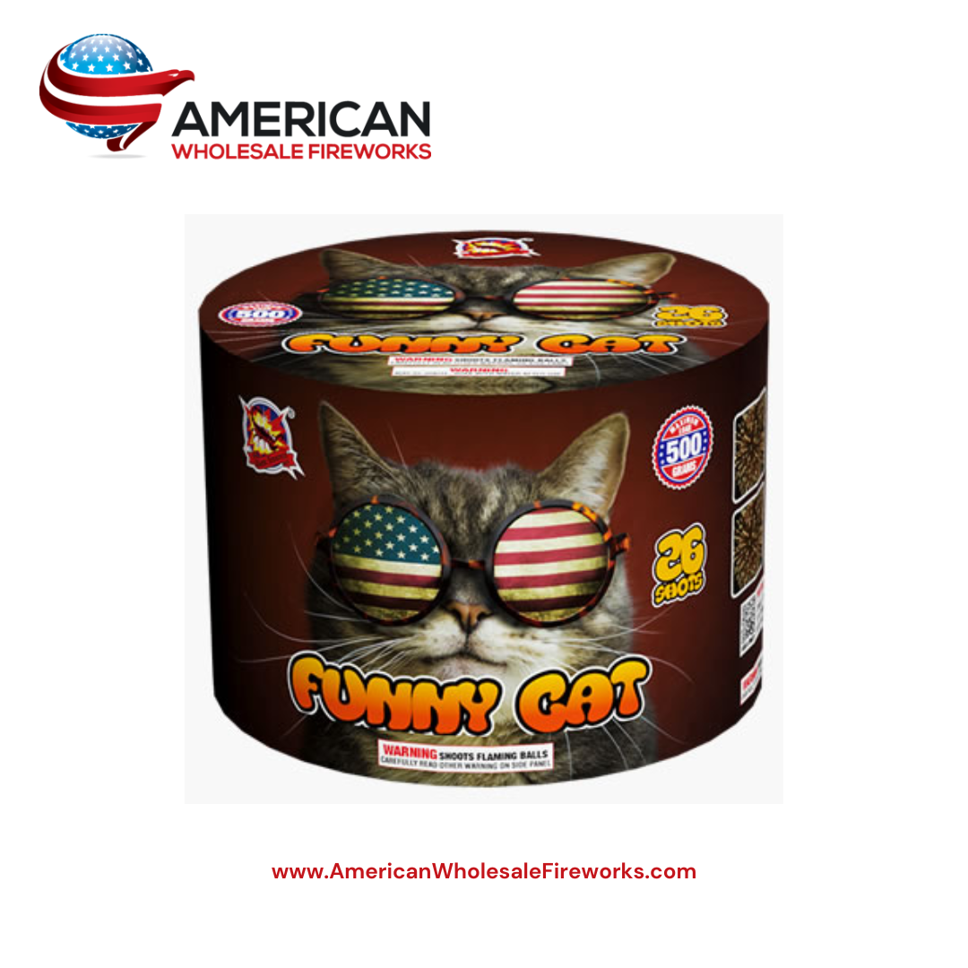 Funny Cat - 500 Gram Cake
