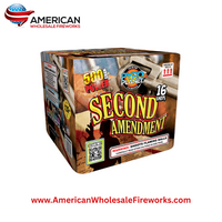 Second Amendment