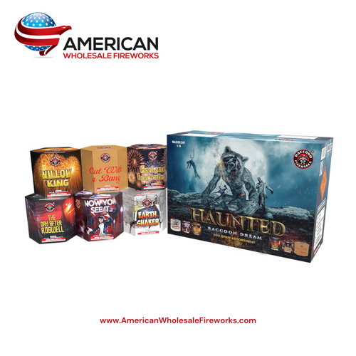 Haunted Raccoon Dream (Case of 6)