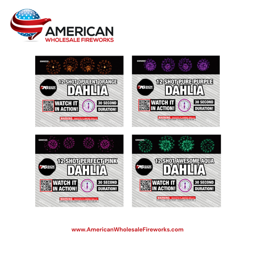 O/Pu/Pi/Aq Dahlia Assortment (Case of 4)