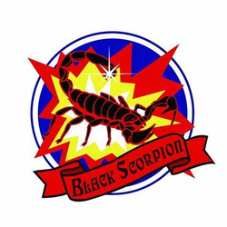 Arrival Notice from Black Scorpion and Black Scorpion 1.4 Pro Fireworks! Arrival Notice from Black Scorpion and Black Scorpion 1.4 Pro Fireworks!