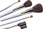 Makeup Brush Set
