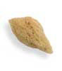 Natural Sea Sponge