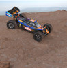 ZD Racing BX-12 1/12th Scale Brushless Buggy 3S 2.4GHz RC Car RTR