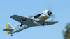 Dynam Focke Wulf FW-190 1270mm 50" Wingspan RC Warbird Plane PNP 