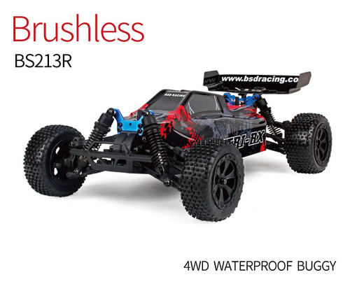 BSD BS213R 1/10 CHERI-RX The Best Eletrice Brushless OFF ROAD RC