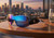 Sporty, Cyberpunk, Moto, Racing, Shield Sunglasses, Iridescent, Futuristic, Y2K, Activewear, Streetwear, Wrap Around, Lion Logo, Gorpcore, Rave, Festival
