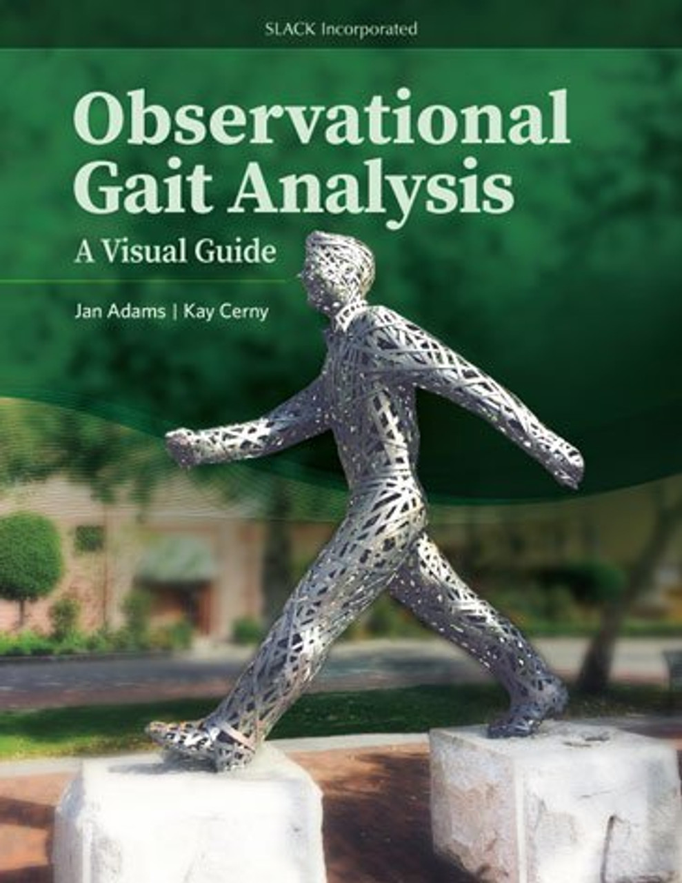 Observational Gait Analysis: Los Amigos Research & Education Center:  9780967633510: : Books