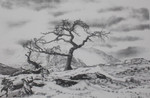 "Mountain Majesty" Black & White mini reproduction by Bernie Brown