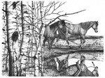 "Reflections of the Past” Black & White mini reproduction by Bernie Brown