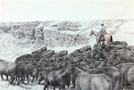 "Homeward Bound" Limousin | Black & White Print with Colour Highlights by Bernie Brown