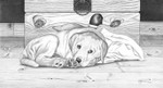 "Nap Time" Dog | Black & White Print by Bernie Brown