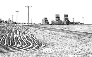"Prairie Lines” Black & White mini reproduction by Bernie Brown "Prairie Lines” Black & White mini reproduction by Bernie Brown