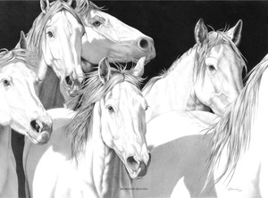 "Brown Eyed Beauties" Horses | Black & White Print by Bernie Brown "Brown Eyed Beauties" Horses | Black & White Print by Bernie Brown