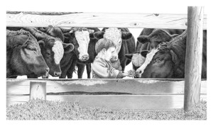 "Chore Boy" Angus | Black & White Print by Bernie Brown