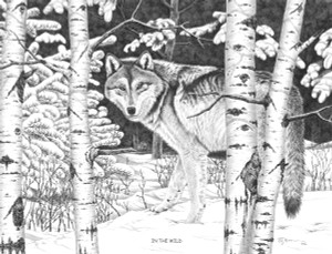 "In The Wild" Wolf | Black & White Print by Bernie Brown "In The Wild" Wolf | Black & White Print by Bernie Brown