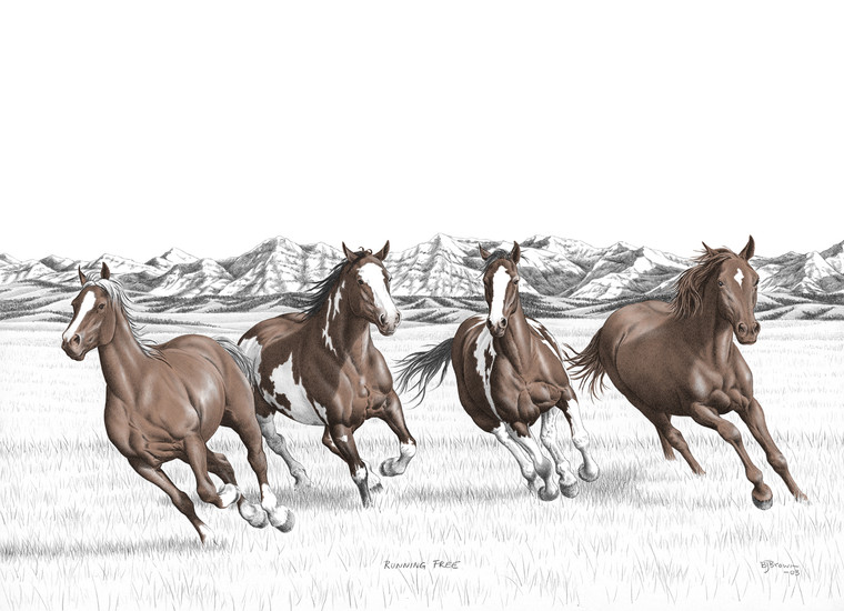 "Running Free” Black & White mini reproduction by Bernie Brown